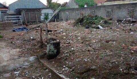 lapang3